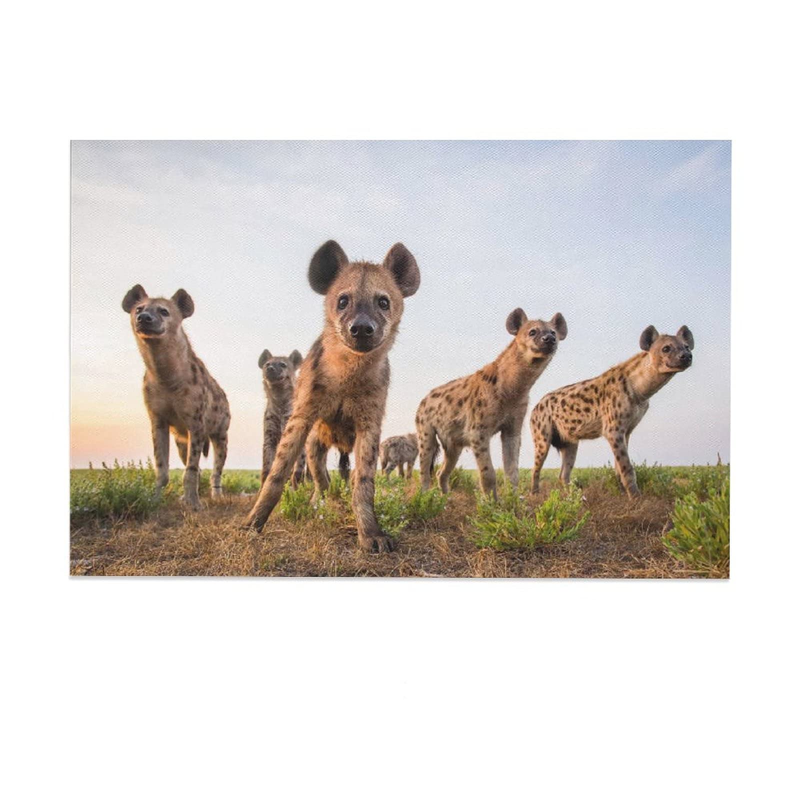 Hyena Play Canvas Wall Art Poster - 12x18 inch (30x45cm) Animal Print Painting for Living Room, Bedroom & Office Decor | Perfect Gift for Wildlife Lovers & Home Decoration