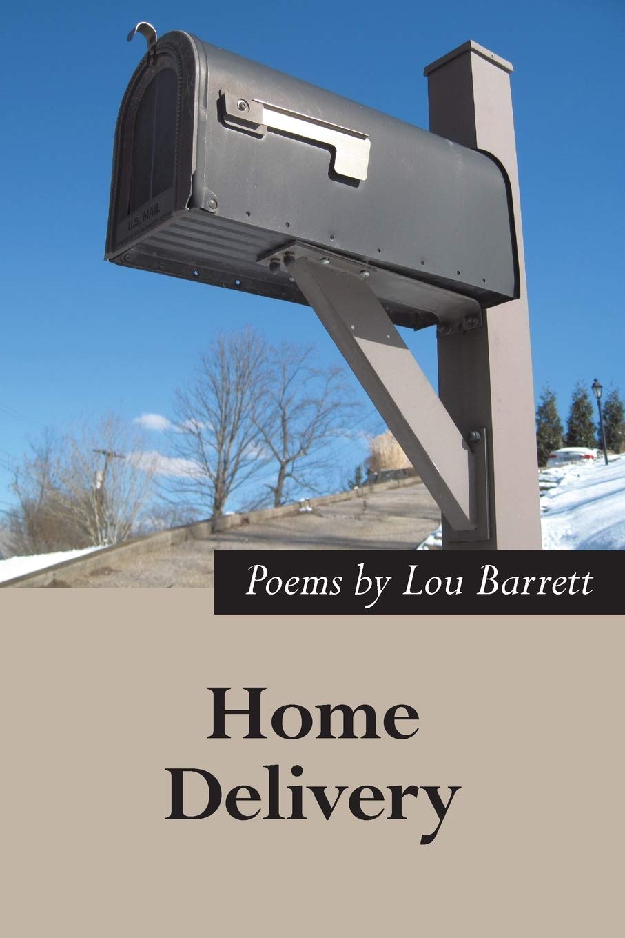 Home Delivery: New and Selected Poems - Poetry Collection for Book Lovers, Gift Ideas & Literary Enthusiasts | Perfect for Reading, Gifting & Home Decor