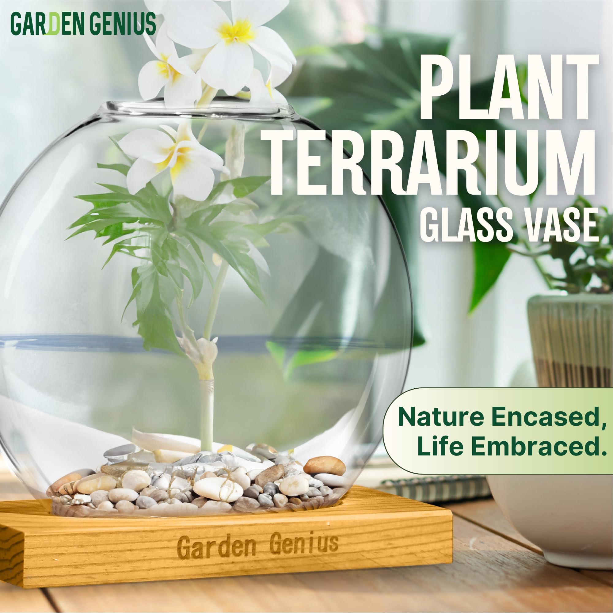 Propagation Station Plant Terrarium with Wooden Base – Single Glass Vase for Hydroponic Plants & Flowers | Perfect for Home, Office, Desk & Shelf Decor | Ideal for Plant Lovers, Succulents, Herbs & Indoor Gardening | Great Gift for Housewarming & Birthday