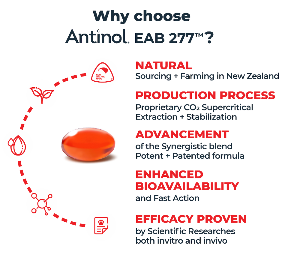 Antinol Plus for Dogs - Joint Support Supplement for Canine Arthritis & Mobility - Ideal for Senior Dogs & Active Breeds