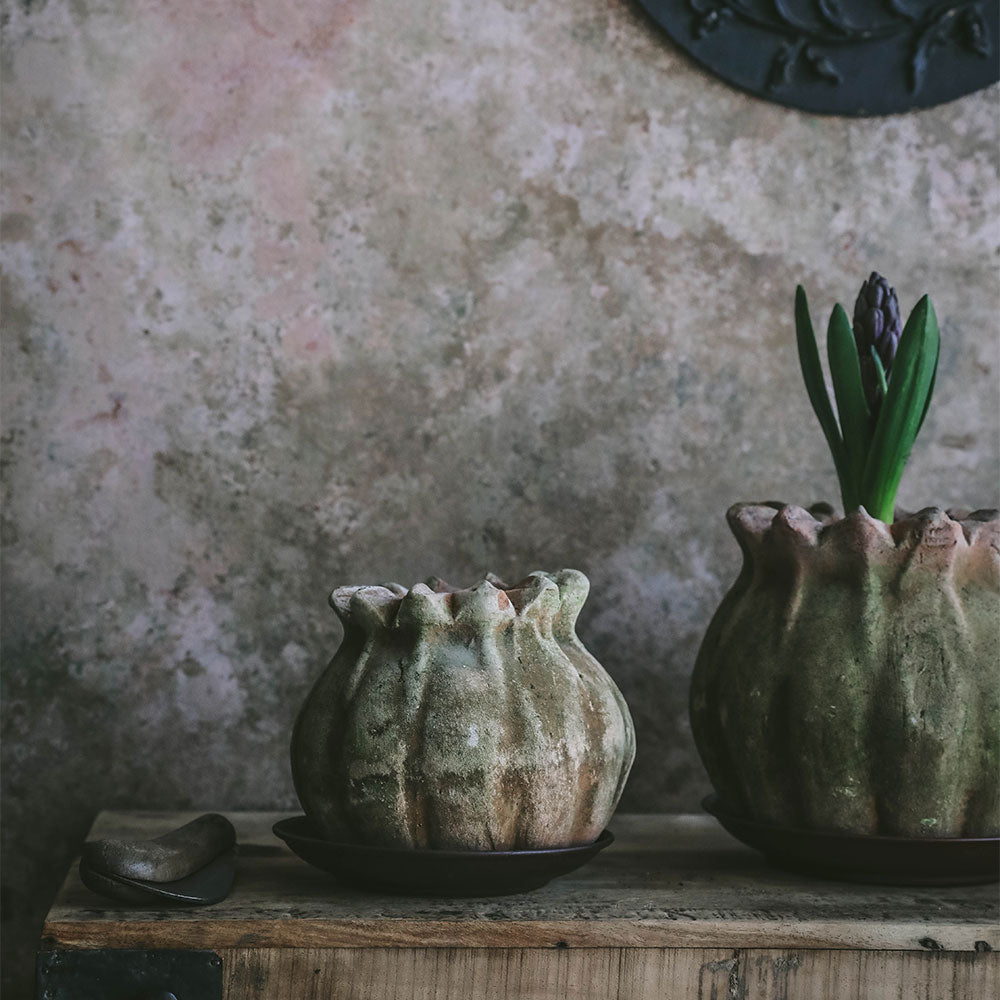 Aged Terracotta Poppy Planter - Handmade Clay Flower Pot for Indoor & Outdoor Plants - Perfect for Home Garden, Patio Decor, and Gift Ideas