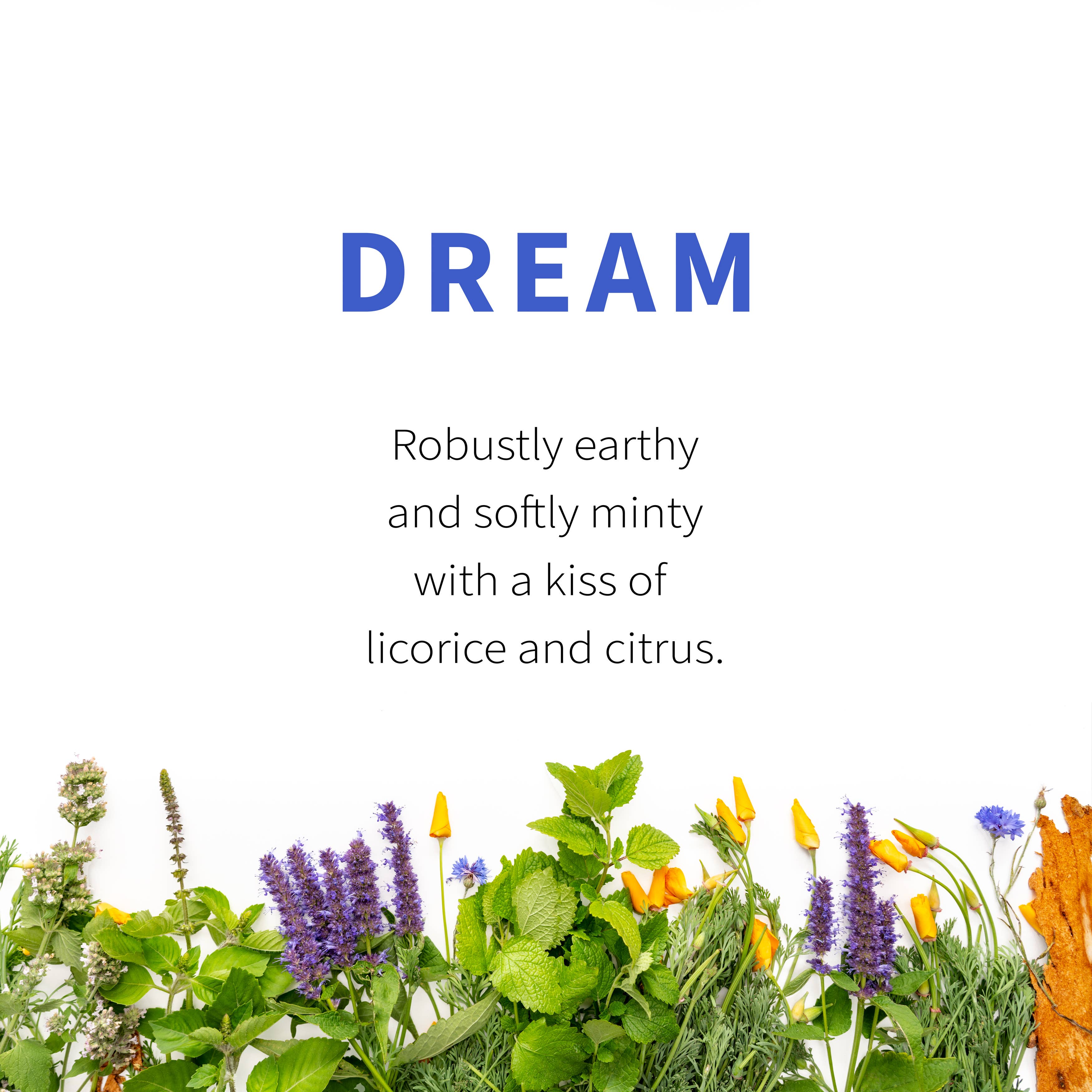 Dream - Premium Sleep Aid & Relaxation Supplement for Better Rest & Stress Relief | Perfect for Nighttime Use, Travel & Daily Relaxation