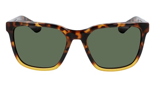 Shiny Tortoise Gradient