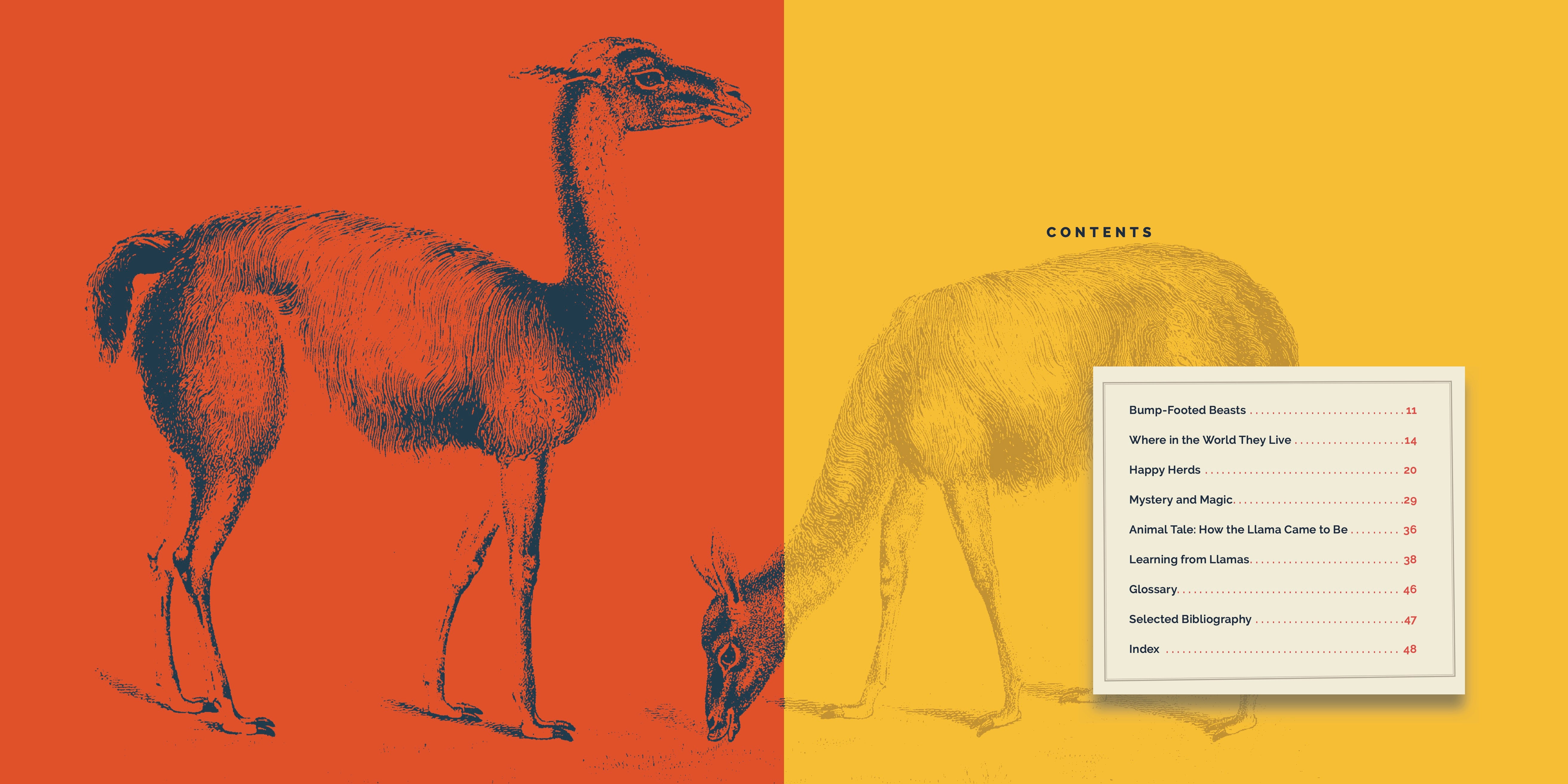 Llamas: A Fascinating Animal Guide Book (ISBN 9781640267916) - Perfect for Animal Lovers, Kids Education & Nature Enthusiasts