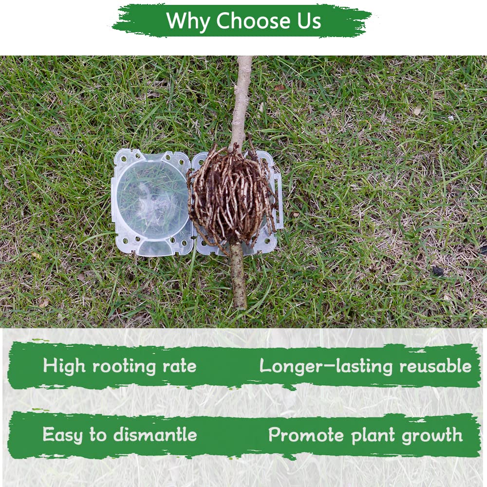 8 Pcs Air Layering Pods - Transparent Plant Rooting Grow Propagation Balls for Grafting & Cutting | Rooting Device for Indoor/Outdoor Plants, Gardening & Hydroponics