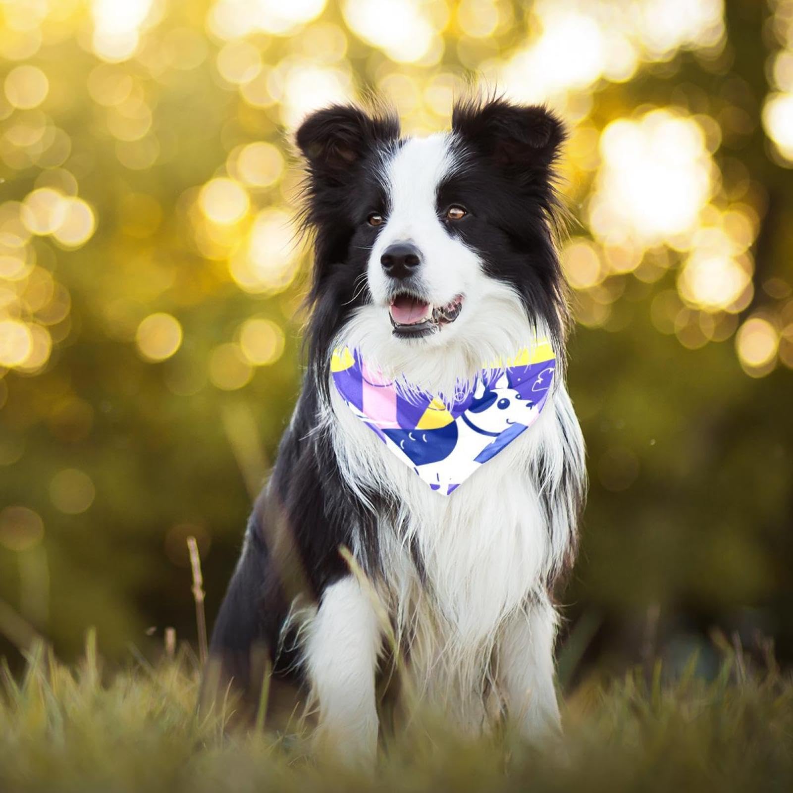 2-Pack Dog Bandanas for Small & Large Dogs - Cute Bone Print Pet Bandana Scarf - Comfortable & Adjustable Dog Accessories for Daily Wear, Grooming, or Special Occasions