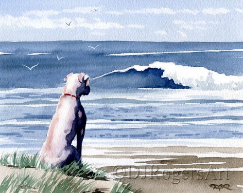 White Boxer At the Beach Watercolor Art Print by DJ Rogers - Perfect for Home Decor, Office Wall Art & Dog Lover Gifts