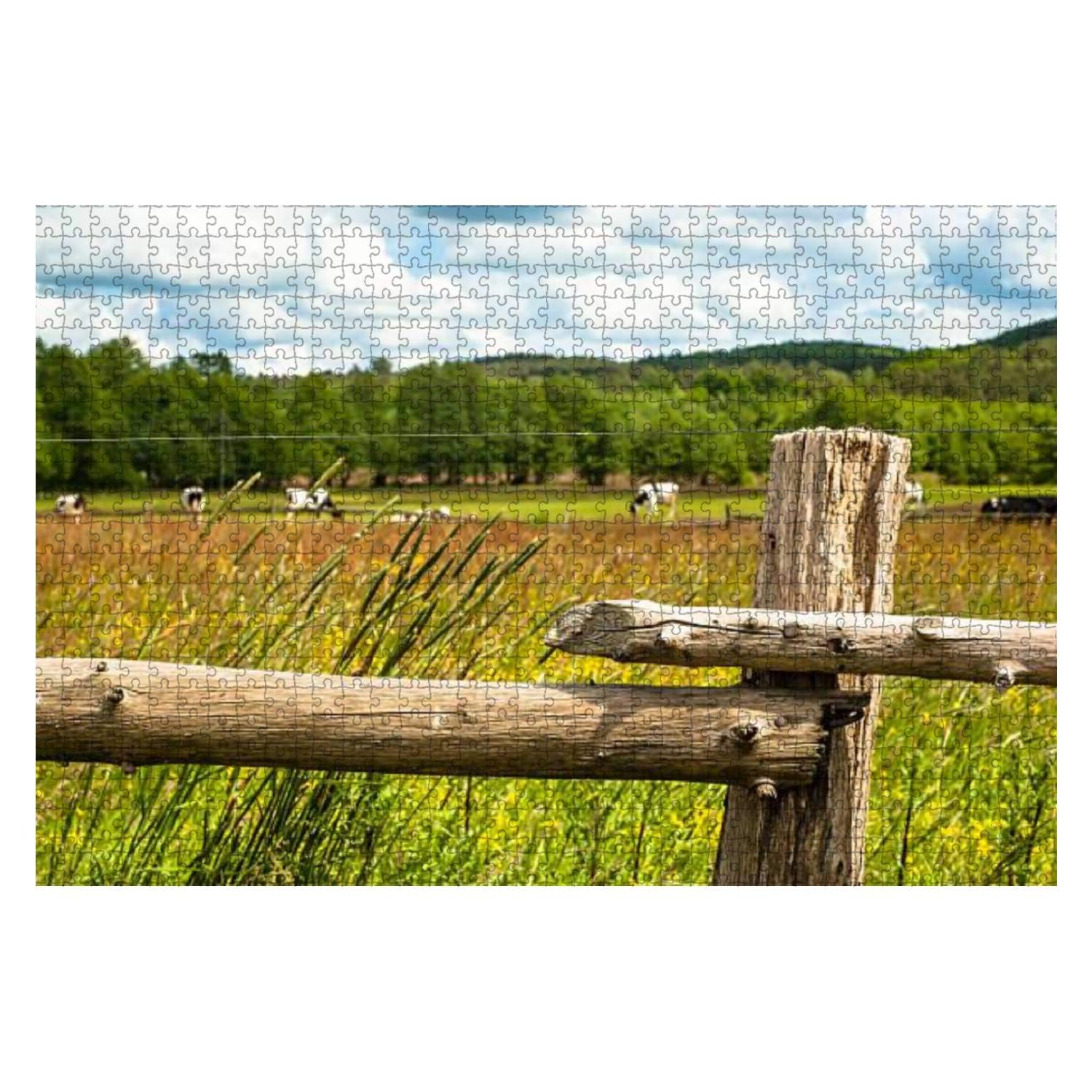1000 Piece Wooden Jigsaw Puzzle - Spring Meadow Landscape with Grazing Cows | Educational Puzzle for Adults & Kids | Stress Relief Game | Perfect for Family Game Night & Classroom Activities