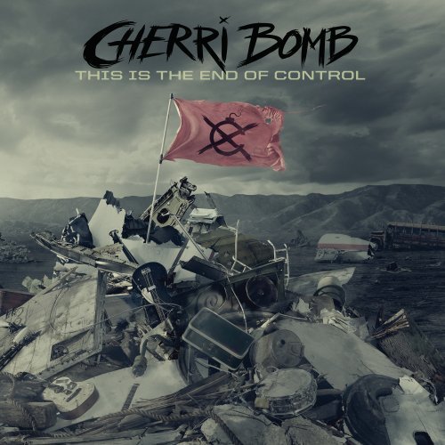 This Is The End Of Control - Official Movie Poster - Perfect for Home Theater Decor & Film Collector's Wall Art