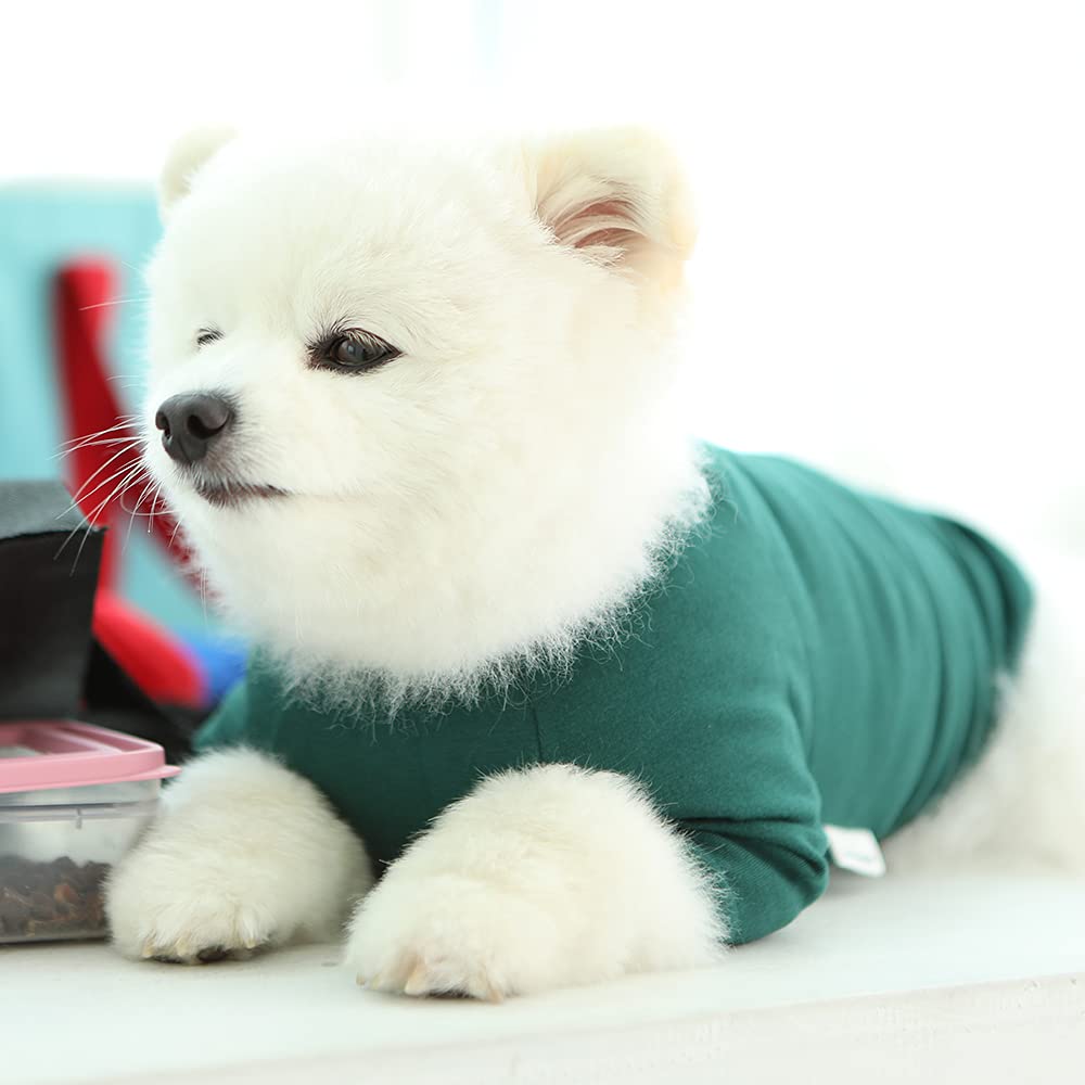 Small Dog Shirt - Soft Cotton Green Pet Tee for Daily Walks & Play