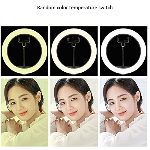 Eighosee 6 Inch LED Ring Light with Stand - Dimmable Selfie Light with 3 Color Modes (Warm/White/Cool) for Phone, YouTube, TikTok, Makeup & Live Streaming - Perfect for Content Creators, Vloggers & Beauty Enthusiasts