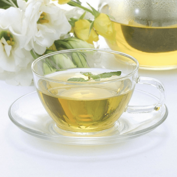 Hario Heat Resistant Glass Teacup with Saucer - 230ml (8oz) Japanese Tea Cup for Green Tea, Matcha, Herbal Tea - Perfect for Home, Office & Tea Ceremonies