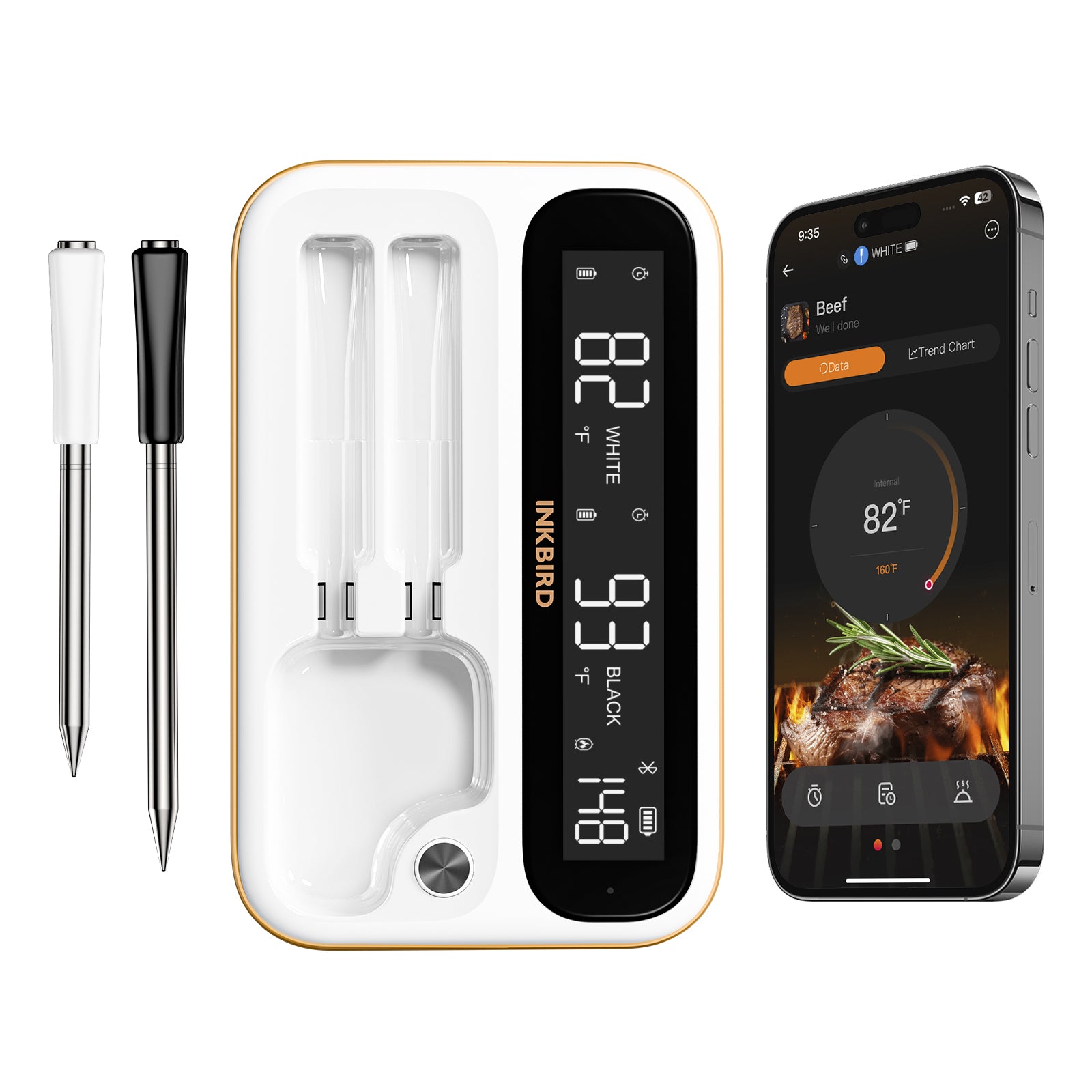Wireless Bluetooth & WiFi Meat Thermometer for Grilling, Smoking, BBQ - INT 12 BW - Perfect for Outdoor Cooking, Home Kitchen, and Backyard Parties
