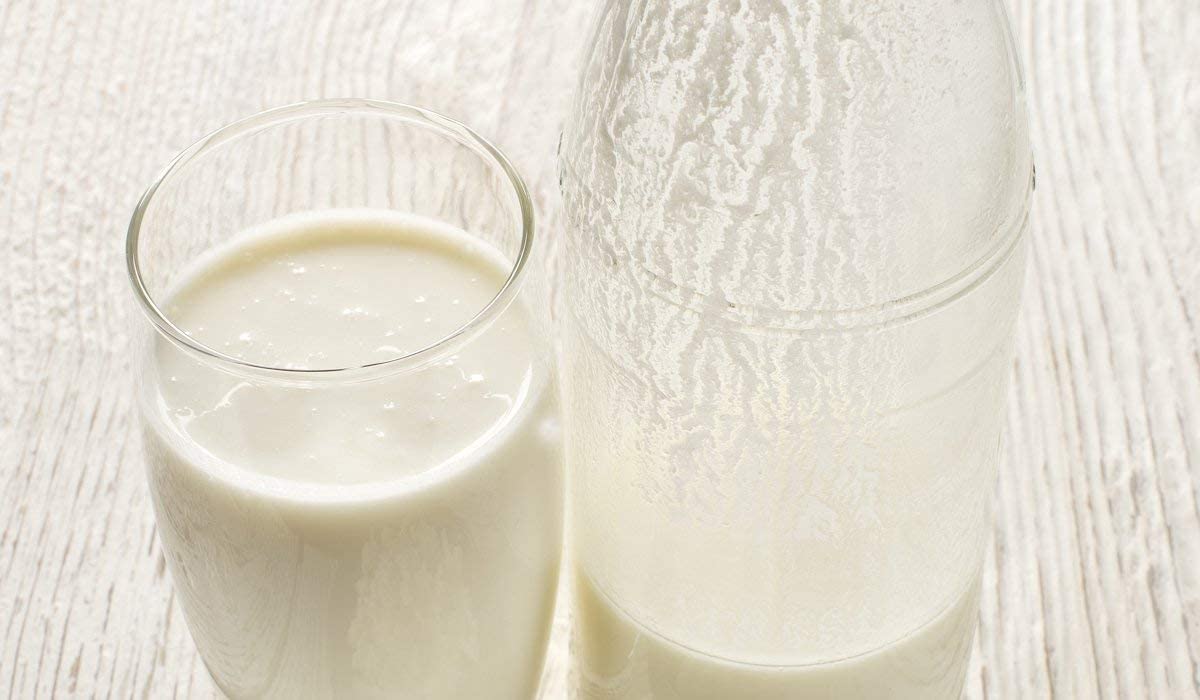 Organic Milk Kefir Grains Starter Kit - Live Probiotic Culture for Homemade Fermented Drinks with Whole Milk, Almond Milk, Goat Milk or Coconut Milk | Perfect for Gut Health, Smoothies & Healthy Breakfast