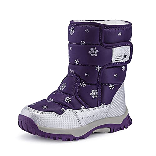Purple 1