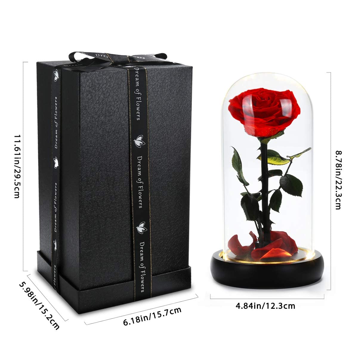 Mother's Day Flower Gifts - Beauty and The Beast Rose in Glass Dome with Warm LED Light, Preserved Real Forever Rose Gift for Women, Mom, Wife, Grandma, Girlfriend - Perfect for Anniversary, Birthday, Valentine's Day & Home Decor