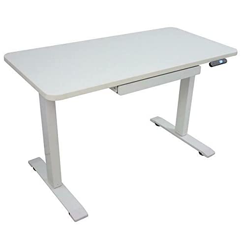 Adjustable Height Electric Standing Desk 24x48 Inches - Ergonomic Home Office Desk for Computer Work, Gaming & Study | Sit Stand Desk for Small Spaces & Workspaces