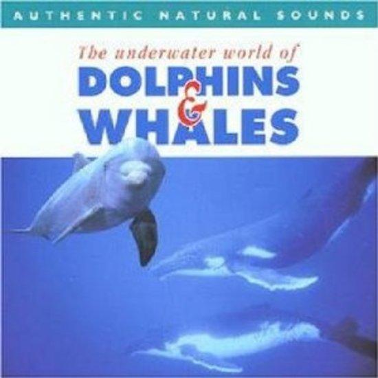 Authentic Natural Sounds of Dolphins & Whales - Relaxing Ocean Wildlife Recordings for Meditation, Sleep & Stress Relief