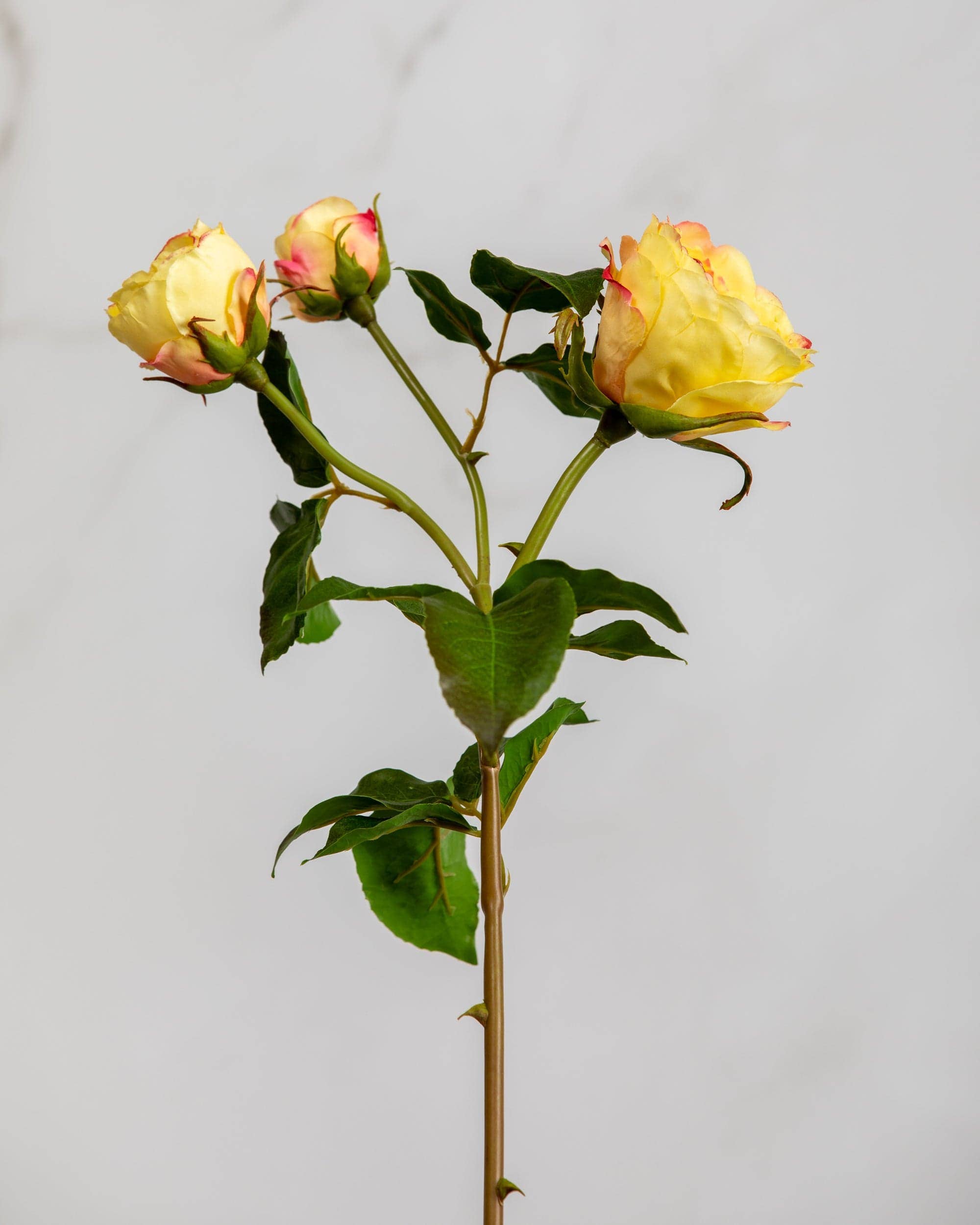 Artificial Yellow English Rose - 22