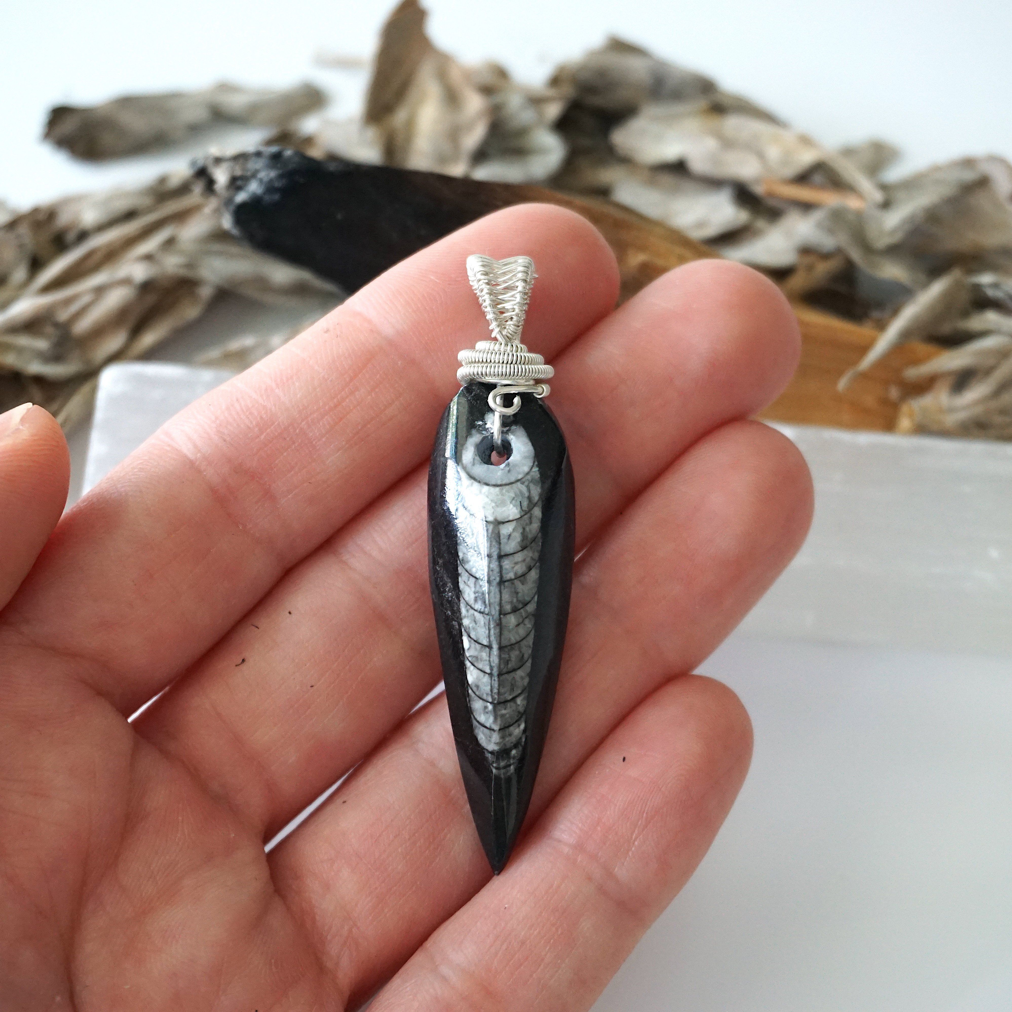 Black Fossil Arrowhead Necklace - Sterling Silver Wire Wrap Pendant Jewelry for Men & Women | Perfect for Outdoor Adventures, Nature Lovers & Unique Gift Giving