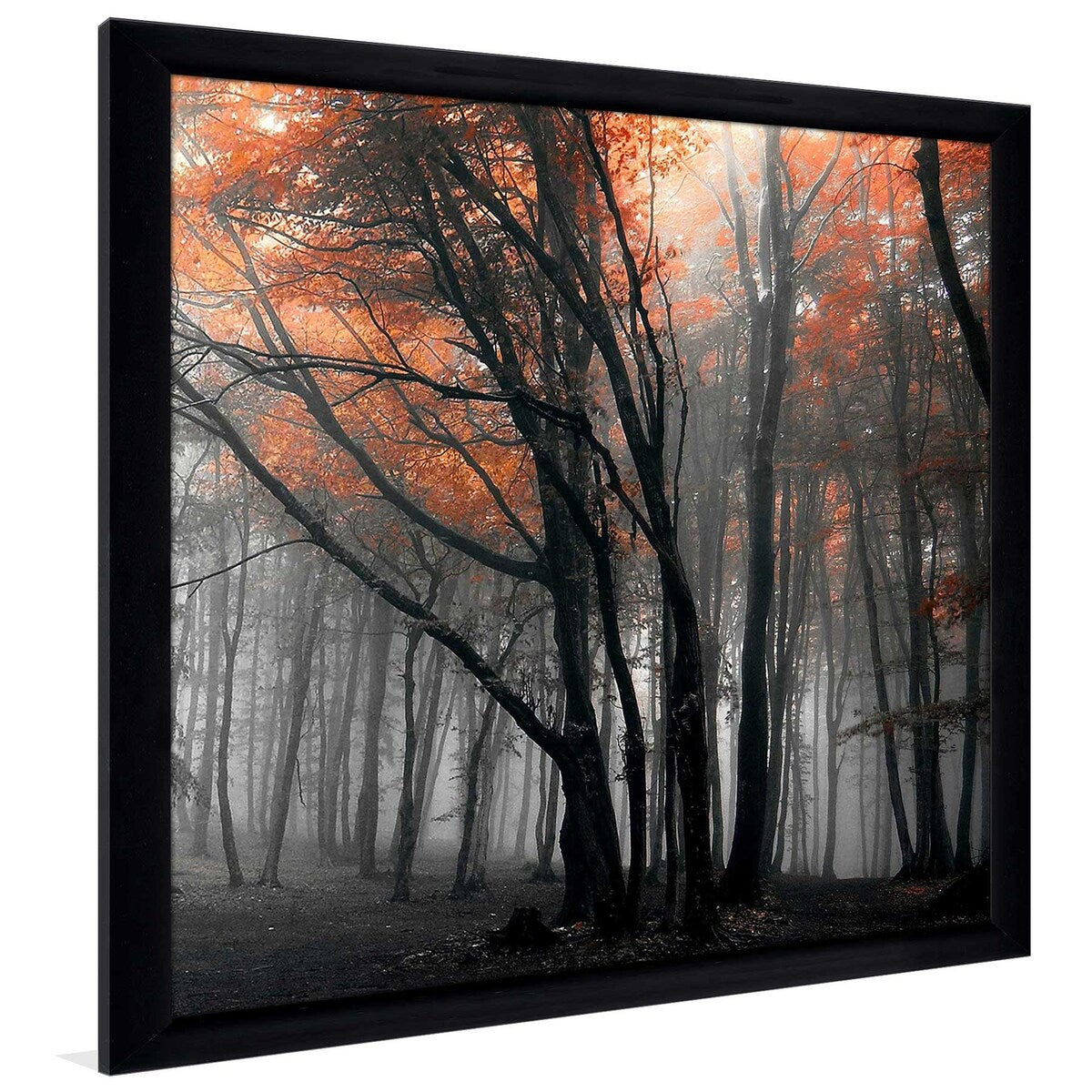 46 Autumn Woods Landscape Photo Print on Acrylic - Premium Wall Art Decor for Living Room, Bedroom & Office | Nature Photography by PhotoINC Studio
