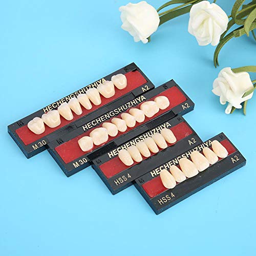High Hardness Resin False Teeth Set - Temporary Tooth Repair for Complete Dentures | DIY Dental Solution for Missing Teeth & Emergency Dental Care