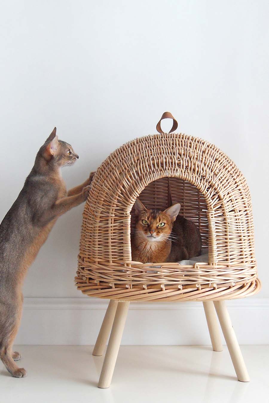 Cat House Pony UFOny - Cozy Pet Bed for Cats & Small Dogs - Indoor/Outdoor Kitty Hideaway with Cute UFO Design - Perfect for Living Room, Bedroom or Backyard