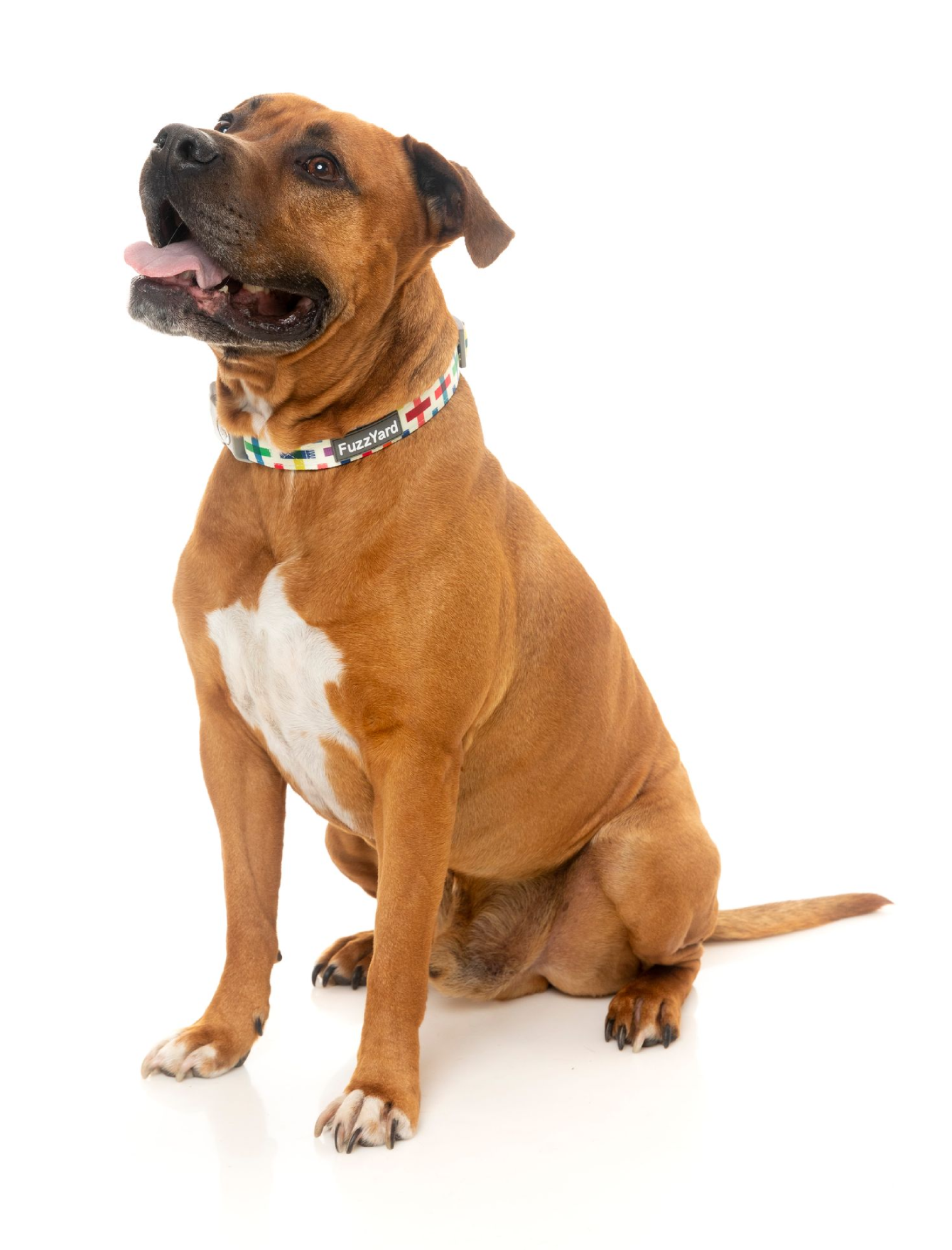 Fuzzyard Adjustable Pet Collar for Dogs & Cats - Soft & Comfortable Jenga Design in 3 Sizes (Small, Medium, Large) - Perfect for Daily Walks, Training & Fashion Accessories