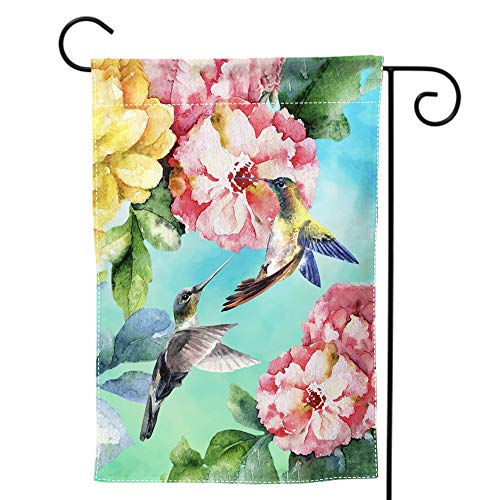 hummingbird