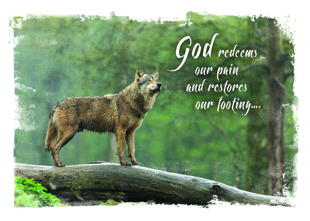 Wild & Free Christian Greeting Cards Box - 12 Bible Verse Cards for All Occasions
