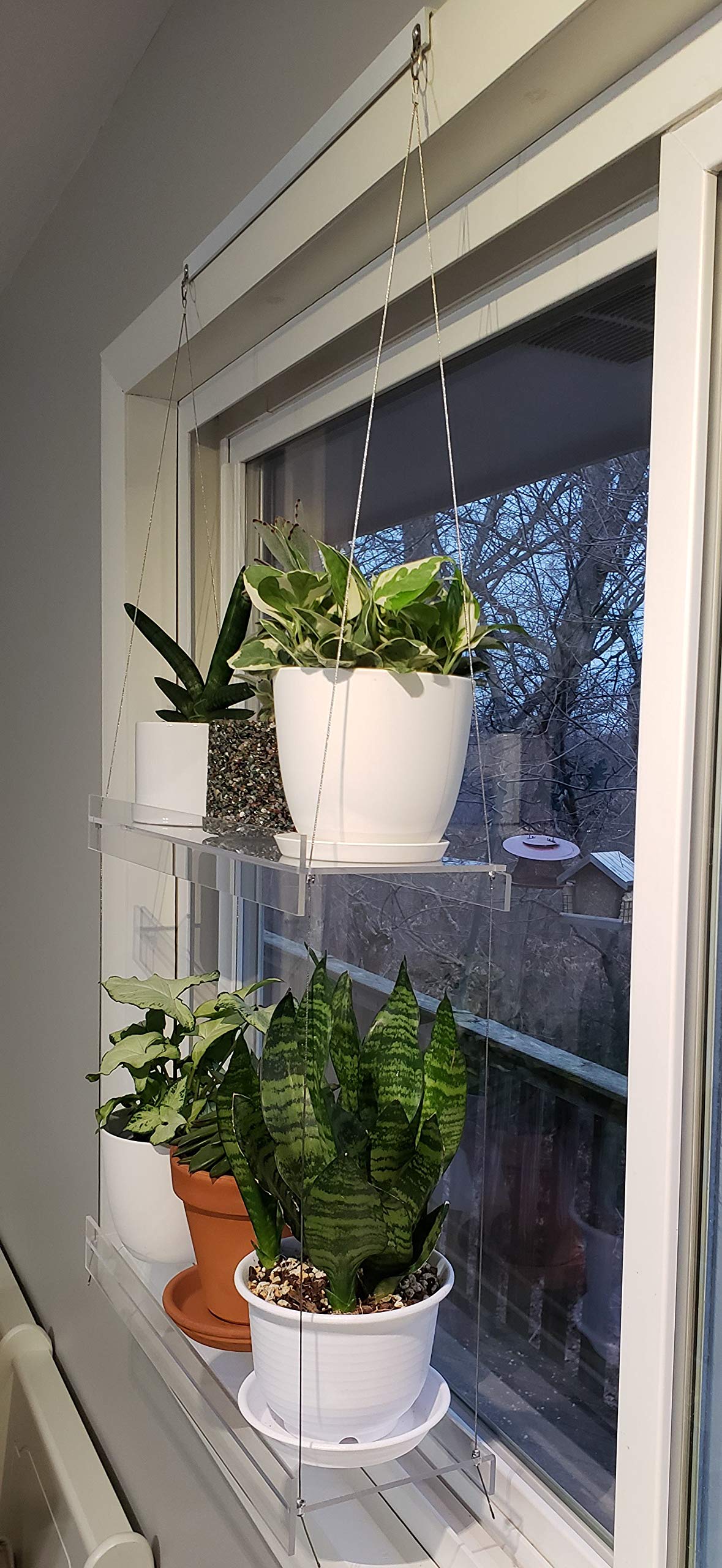 Clear Acrylic Window Shelves for Plants & Decor - 22