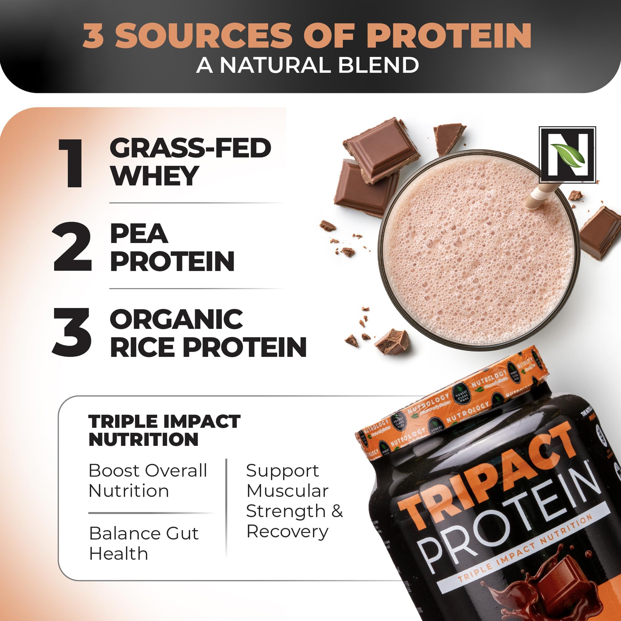 Nutrology TRIPACT Protein Powder - Creamy Chocolate 7-in-1 Meal Replacement Shake with Grass-Fed Whey, Pea Protein, Rice Protein, Greens, Probiotics & BCAAs | 40 Servings for Muscle Recovery, Weight Management & Post-Workout Nutrition | Perfect for Athletes, Fitness Enthusiasts & Busy Professionals