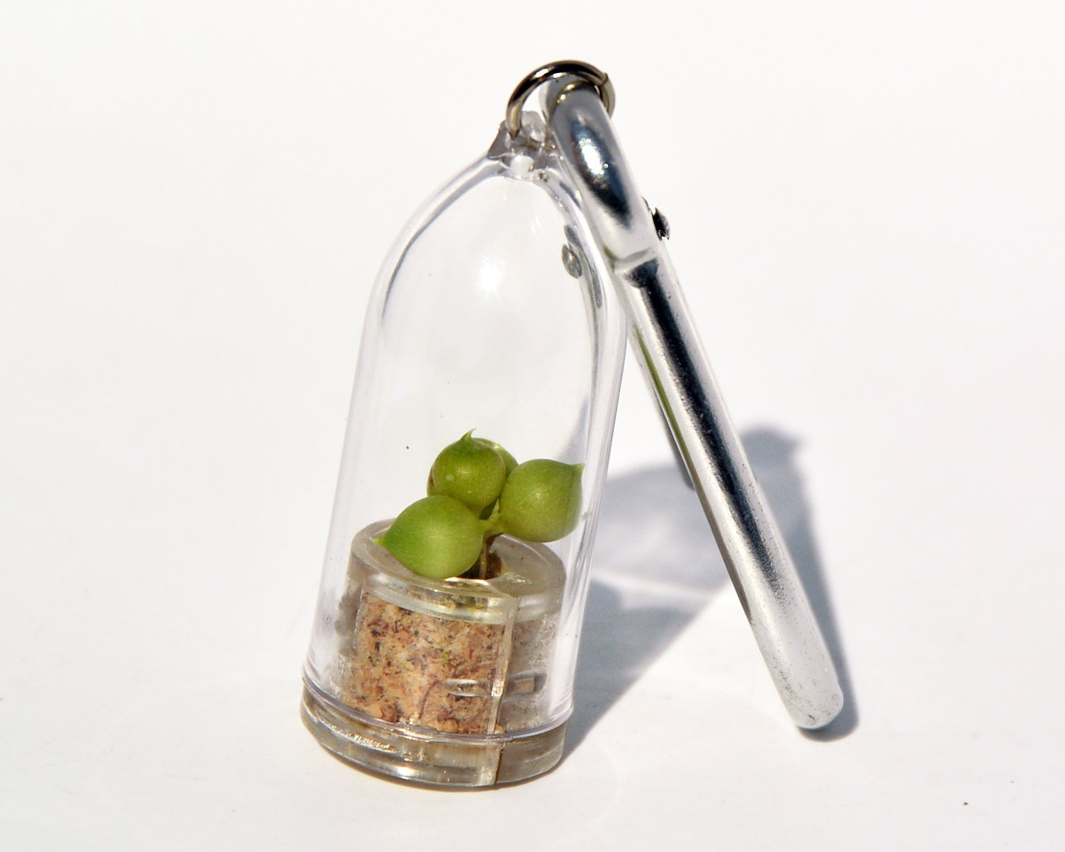 Live Succulent Terrarium Necklace with Pearls & Silver Clip - Unique Cactus Plant Jewelry Keychain - Boo-Boo Plant Pendant for Women - Perfect for Boho Fashion, Gifts & Nature Lovers