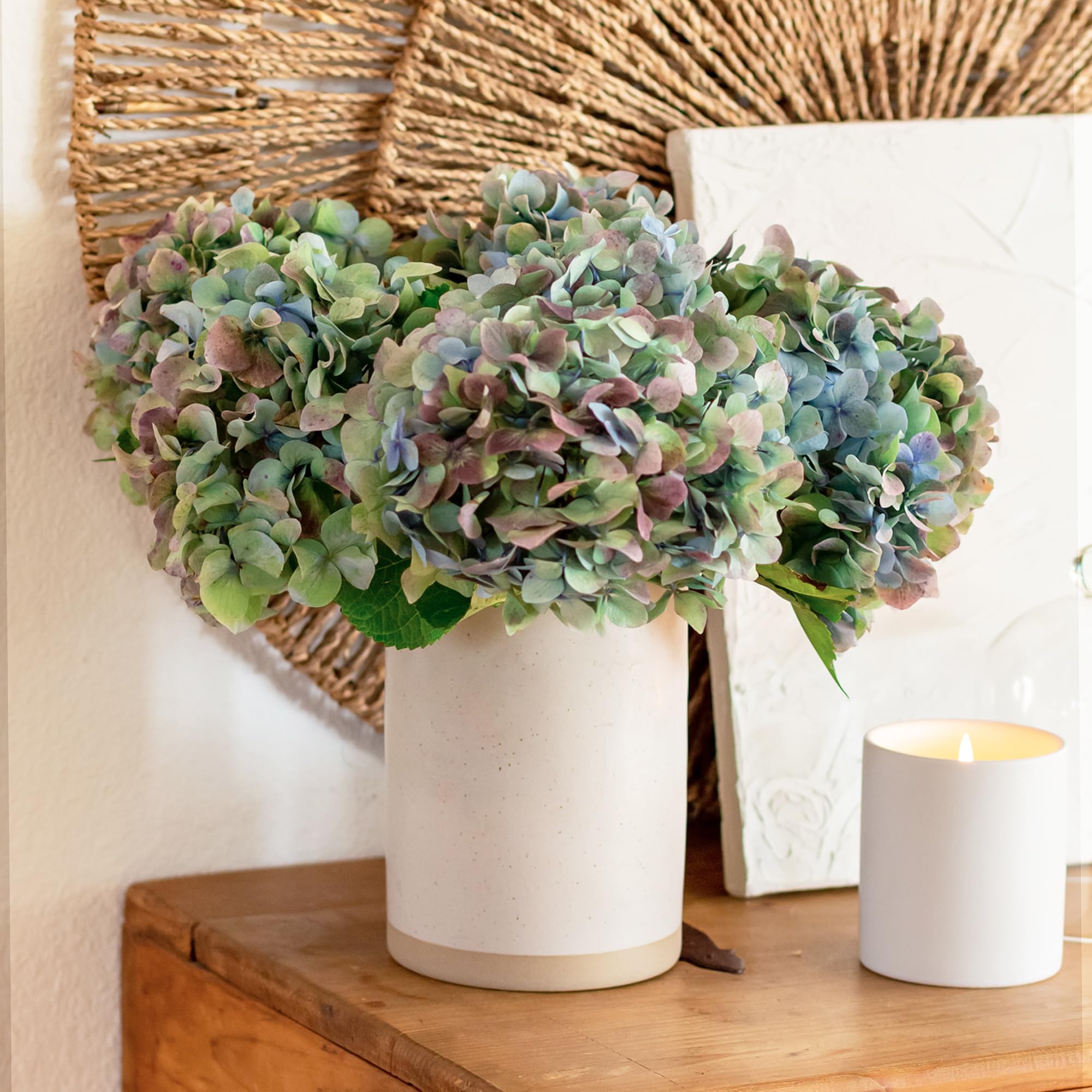 BloomsyBox Fresh Emerald Enchantment Hydrangea Bouquet with Care Card & Flower Food | Premium Flower Delivery for Birthdays, Anniversaries & Weddings | Perfect for Home Decor, Gift Giving & Special Occasions