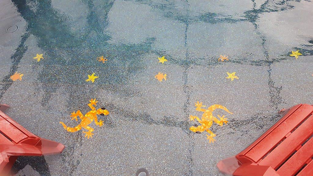 Large Gecko Ceramic Swimming Pool Mosaic Tile - 11