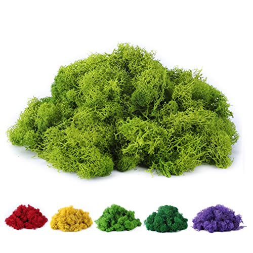 Chartreuse