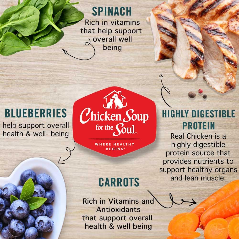 Chicken Soup for The Soul Classic Wet Adult Dog Food - Chicken, Brown Rice & Vegetables in Gravy, 13oz Can (Pack of 12) | Soy, Corn & Wheat Free, Natural Canned Dog Food with Real Ingredients | Perfect for Senior Dogs & Picky Eaters