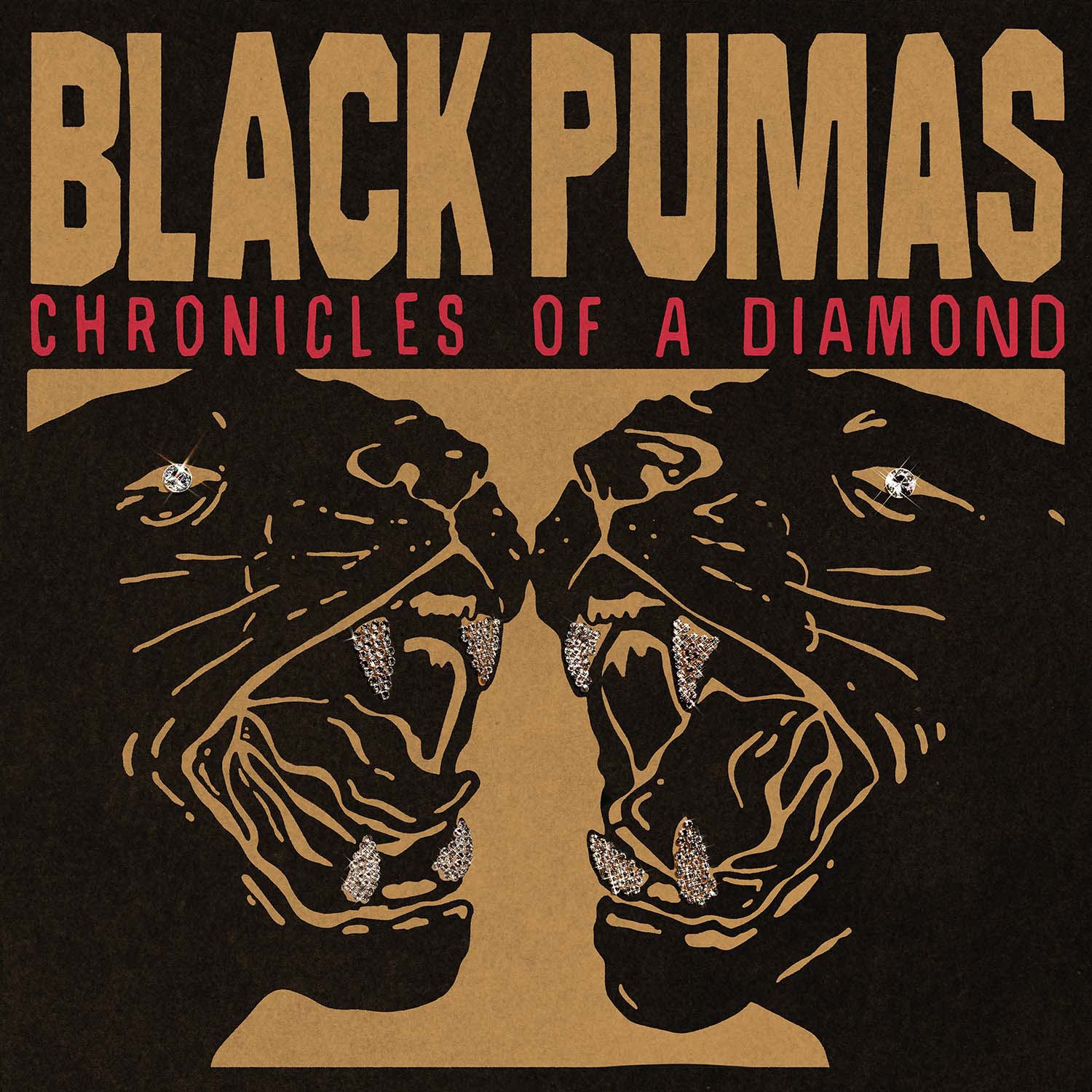 Black Pumas - Chronicles Of A Diamond (Clear Vinyl LP) | Limited Edition Vinyl Record | Perfect for Music Collectors & Vinyl Enthusiasts | Great for Home Listening, Gifts & Music Lovers