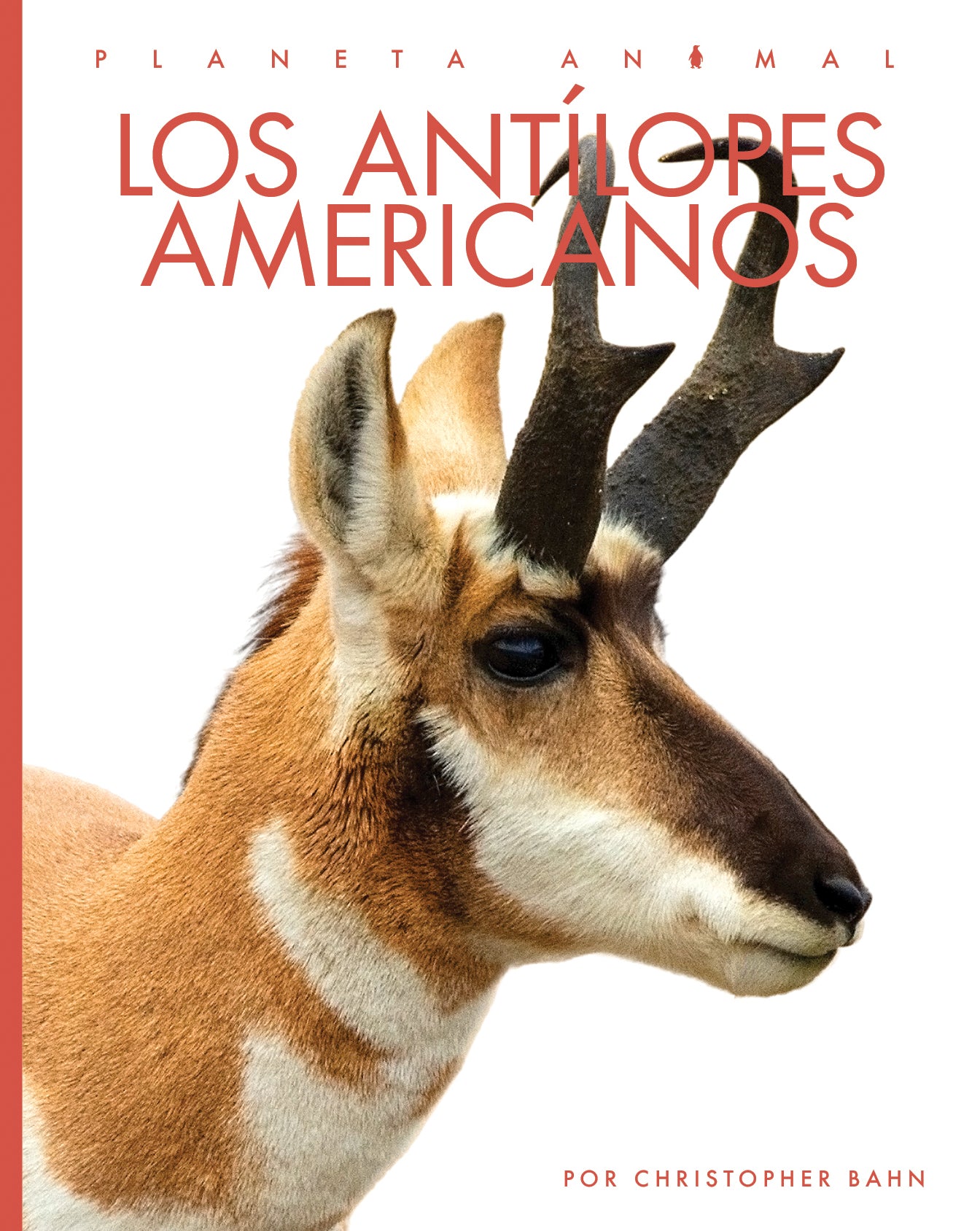 American Antelope Hunting Gear & Accessories - Durable Outdoor Equipment for Hunting, Camping & Wildlife Adventures
