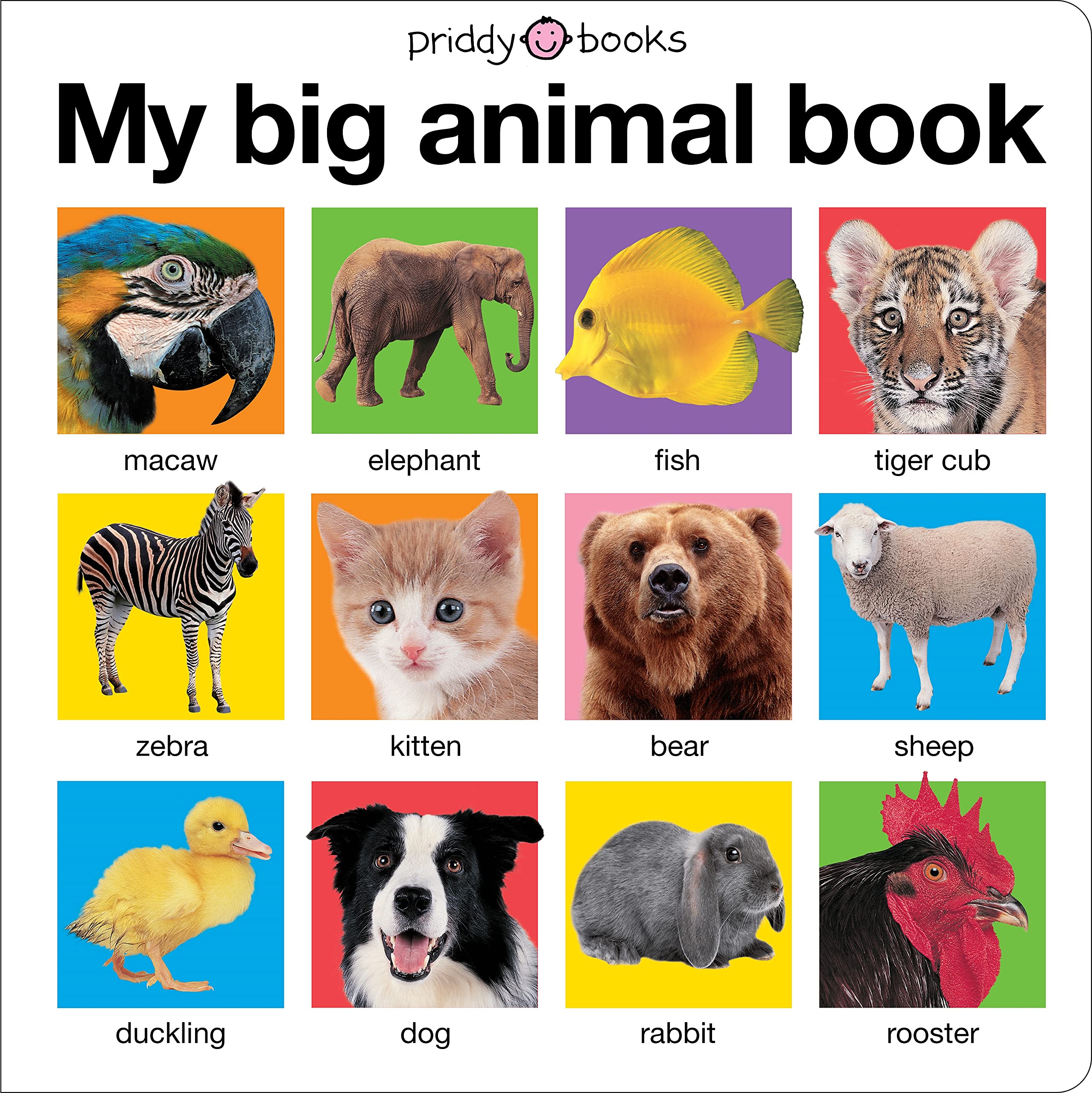 My Big Animal Book - Interactive Board Book for Toddlers & Kids | Learn Animals with Fun Pictures | Perfect for Early Learning & Bedtime Stories