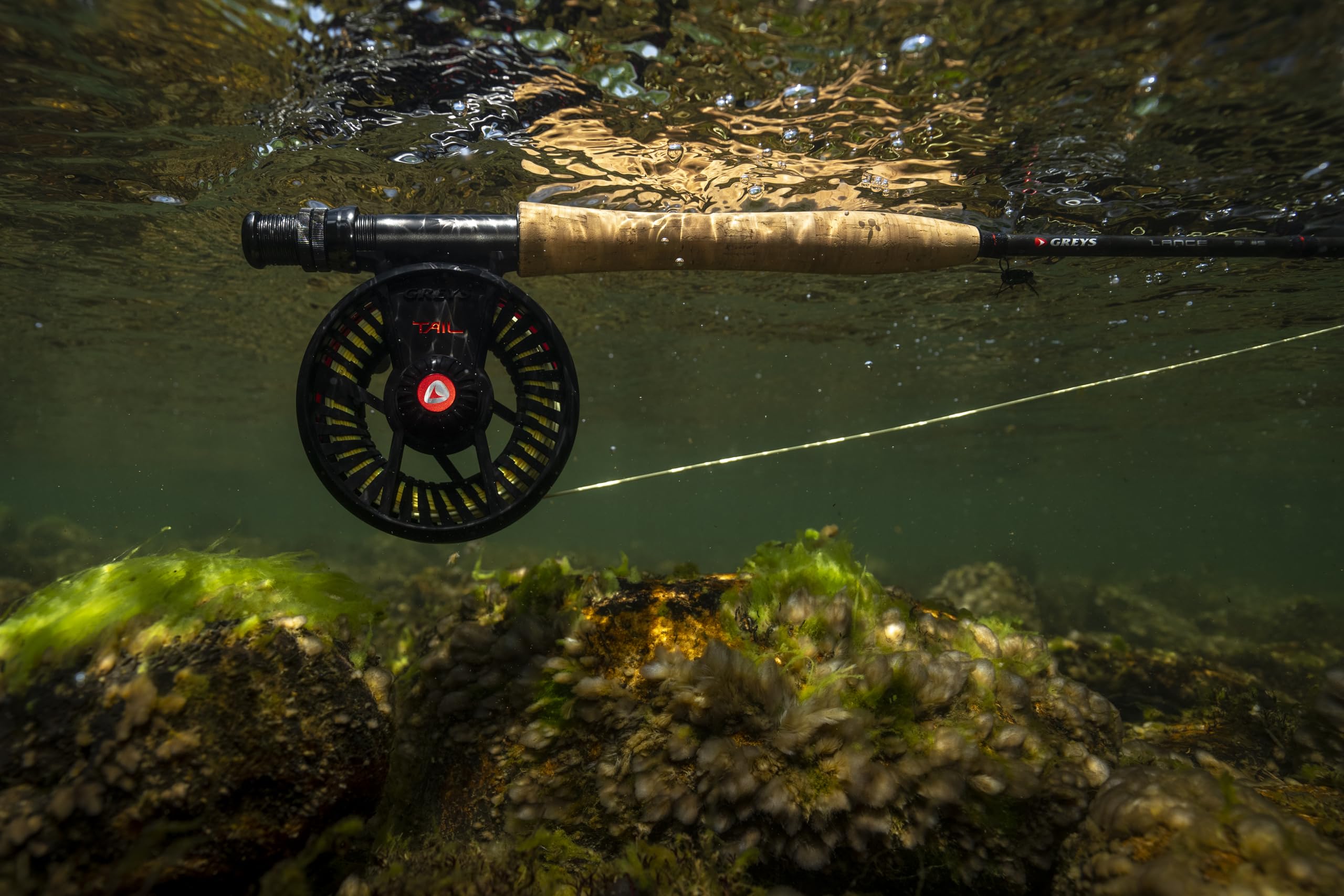 Premium Kite Switch Fly Fishing Rod - Lightweight & Durable Graphite Fly Rod for Trout, Bass & Salmon - Perfect for Freshwater & Saltwater Fly Fishing Adventures