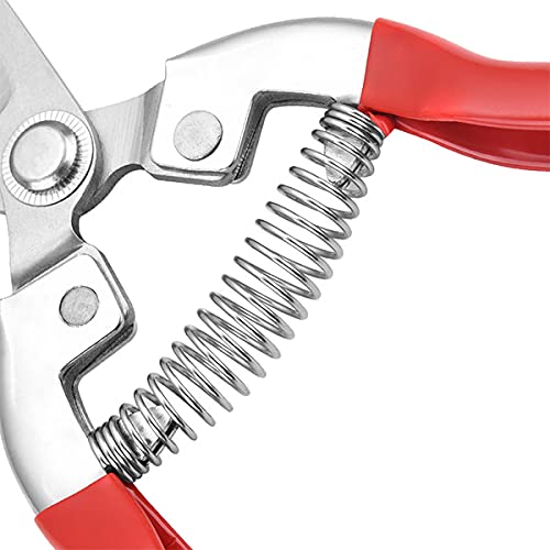 Premium Garden Shears - Professional Pruning Shears for Plants, Flowers & Grape Picking | Heavy Duty Gardening Shears with Comfort Grip | Perfect for Home Garden, Landscaping & Vineyard Use