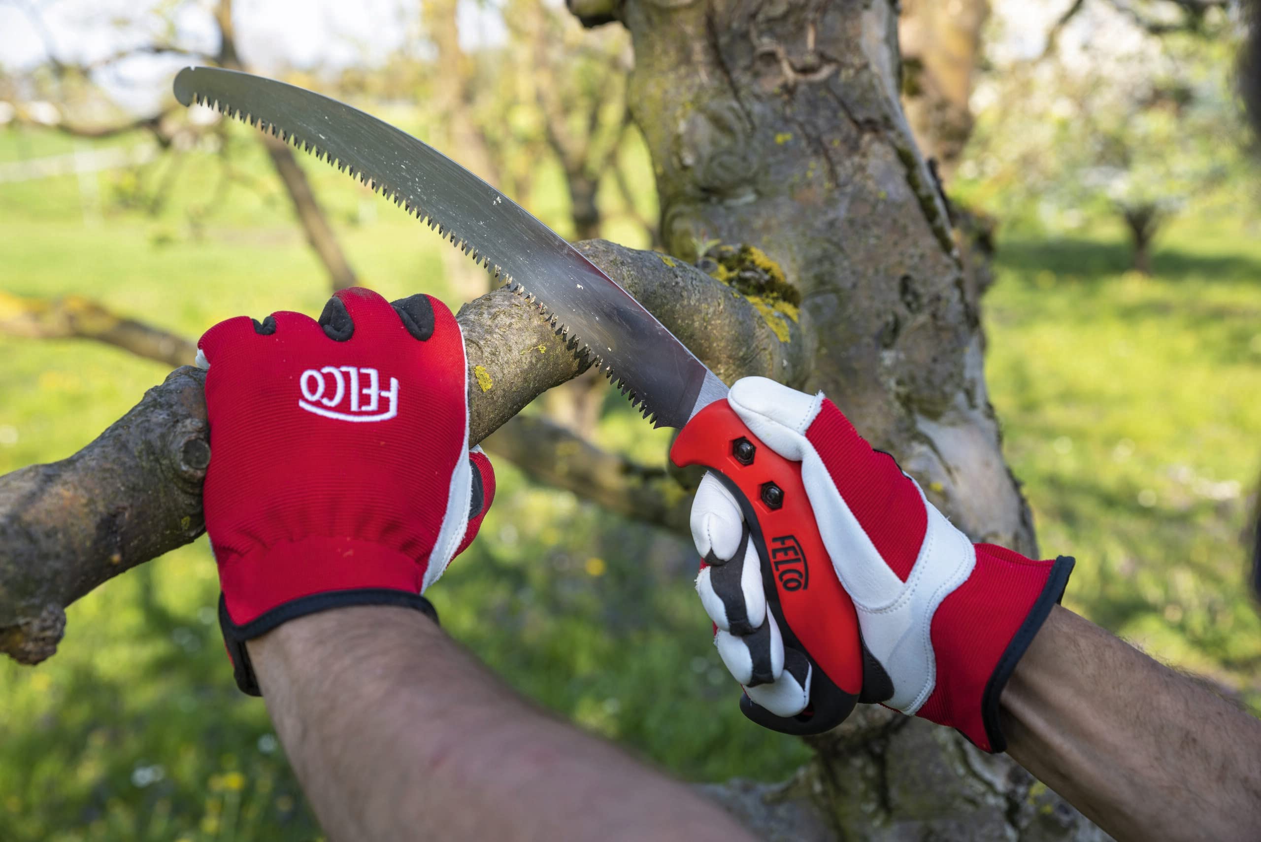 FELCO 702L Professional Pruning Shears - Red & White Ergonomic Garden Scissors for Precise Cutting of Plants, Flowers, and Branches | Ideal for Gardening, Landscaping, and Horticulture Work
