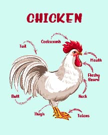 Animal Parts Chicken