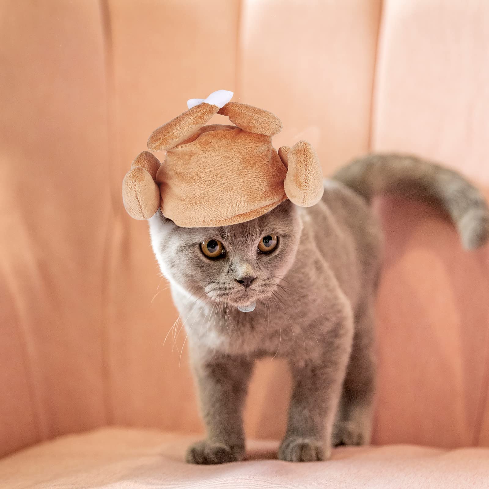 Turkey Hat for Cats & Small Dogs - Thanksgiving & Halloween Pet Costume Accessory - Fun Drumstick Hat for Holiday Parties & Dress-Up Play