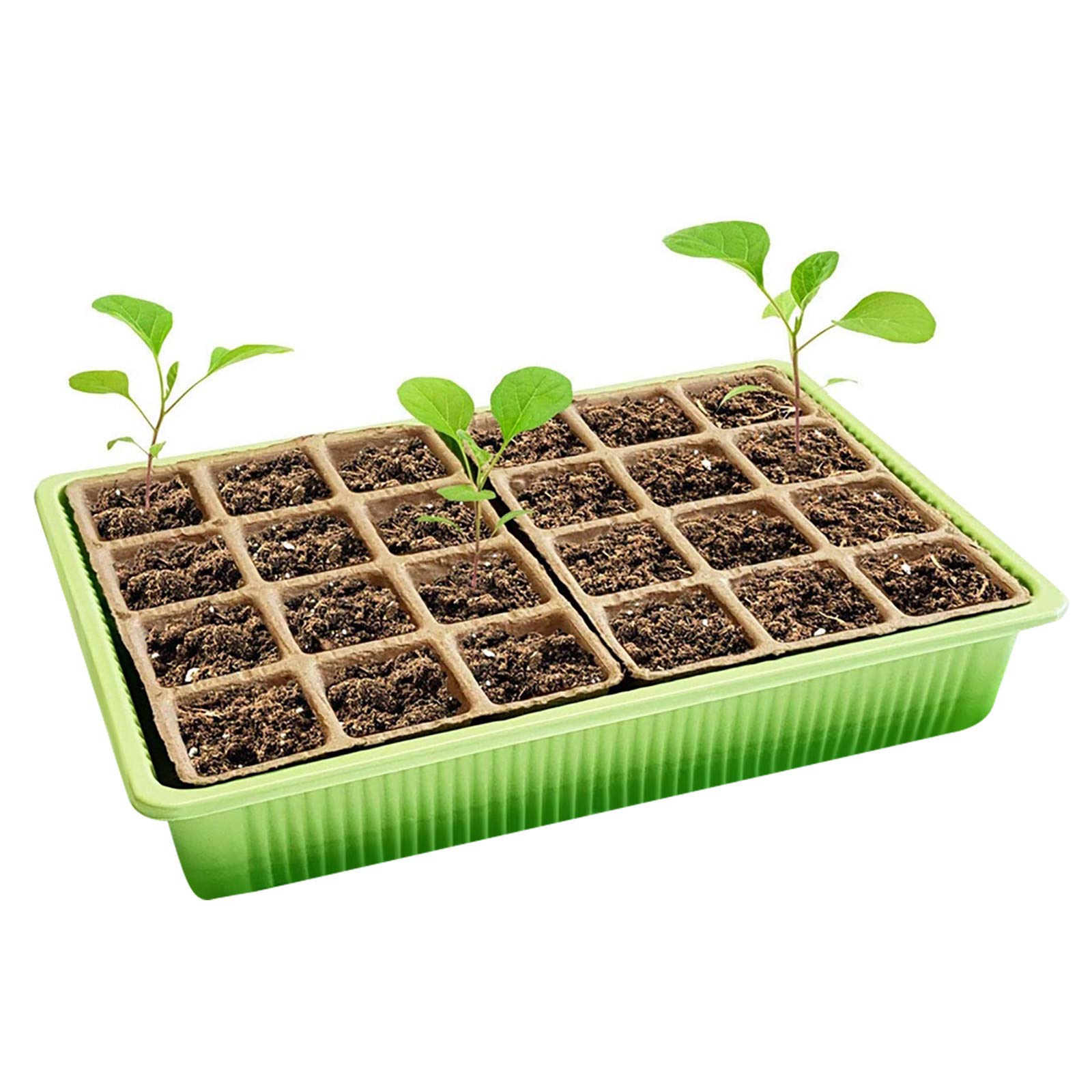 24-Cell Plastic Seed Starter Tray with Adjustable Dome - Mini Greenhouse Germination Kit for Indoor Gardening, Plant Propagation, and Seed Starting - Perfect for Herbs, Vegetables, and Flowers