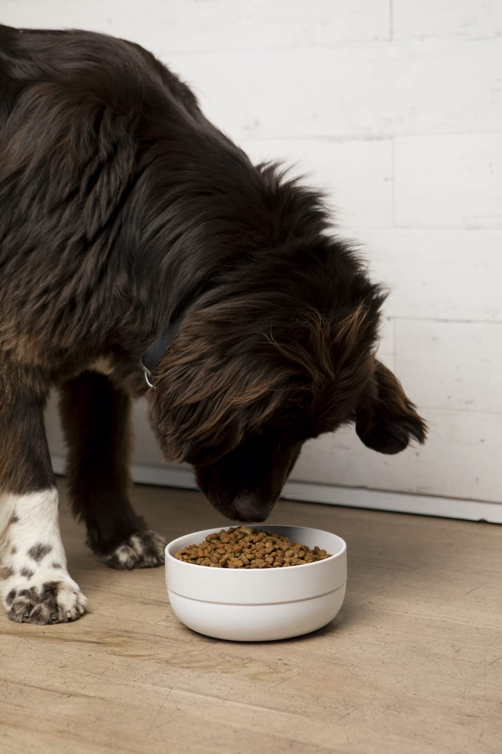 Waggo Non-Slip Ceramic Dog Bowl with Rubber Base for Small & Large Breeds - Heavyweight Pet Food Dish, Dishwasher Safe, Light Grey - Perfect for Home, Kitchen, Travel & Outdoor Feeding