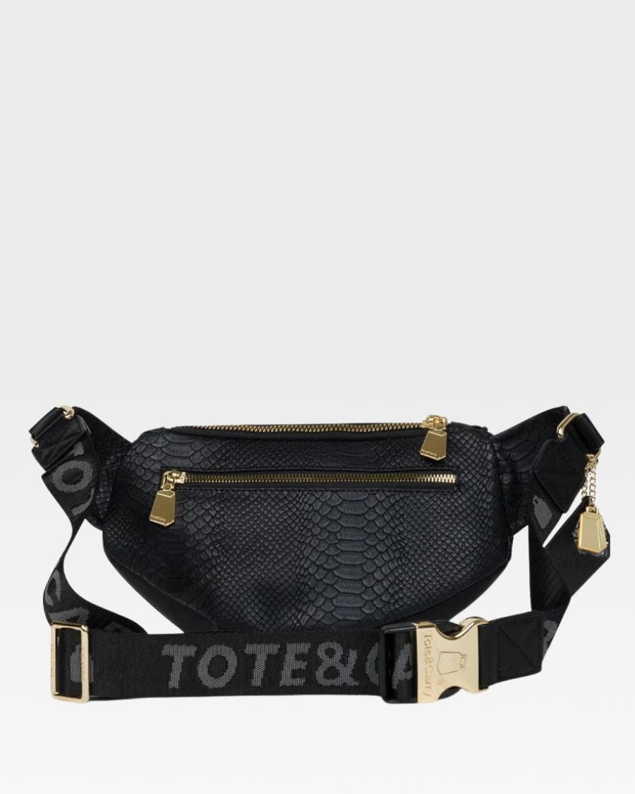 Apollo 1 Waist Pack - Water-Resistant Fanny Pack for Men & Women - Perfect for Travel, Hiking, Running & Outdoor Activities