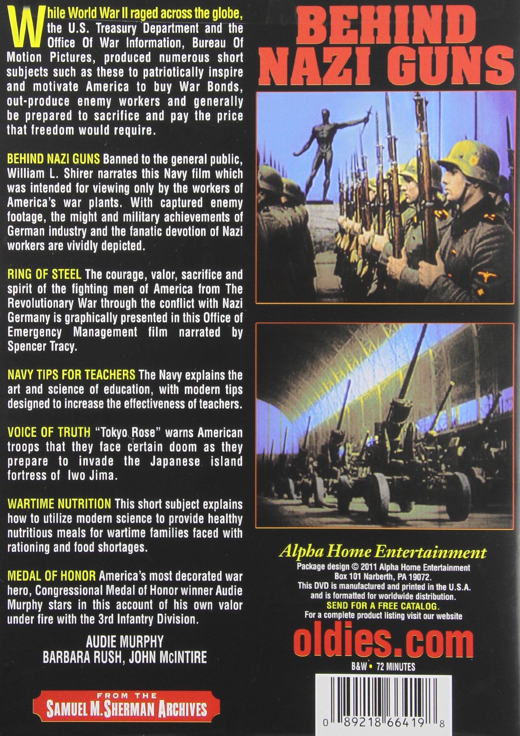 WWII History Book - Behind Nazi Guns: The Untold Stories of World War II | Military History, Nazi Germany, War Strategies | Perfect for History Buffs & WWII Enthusiasts