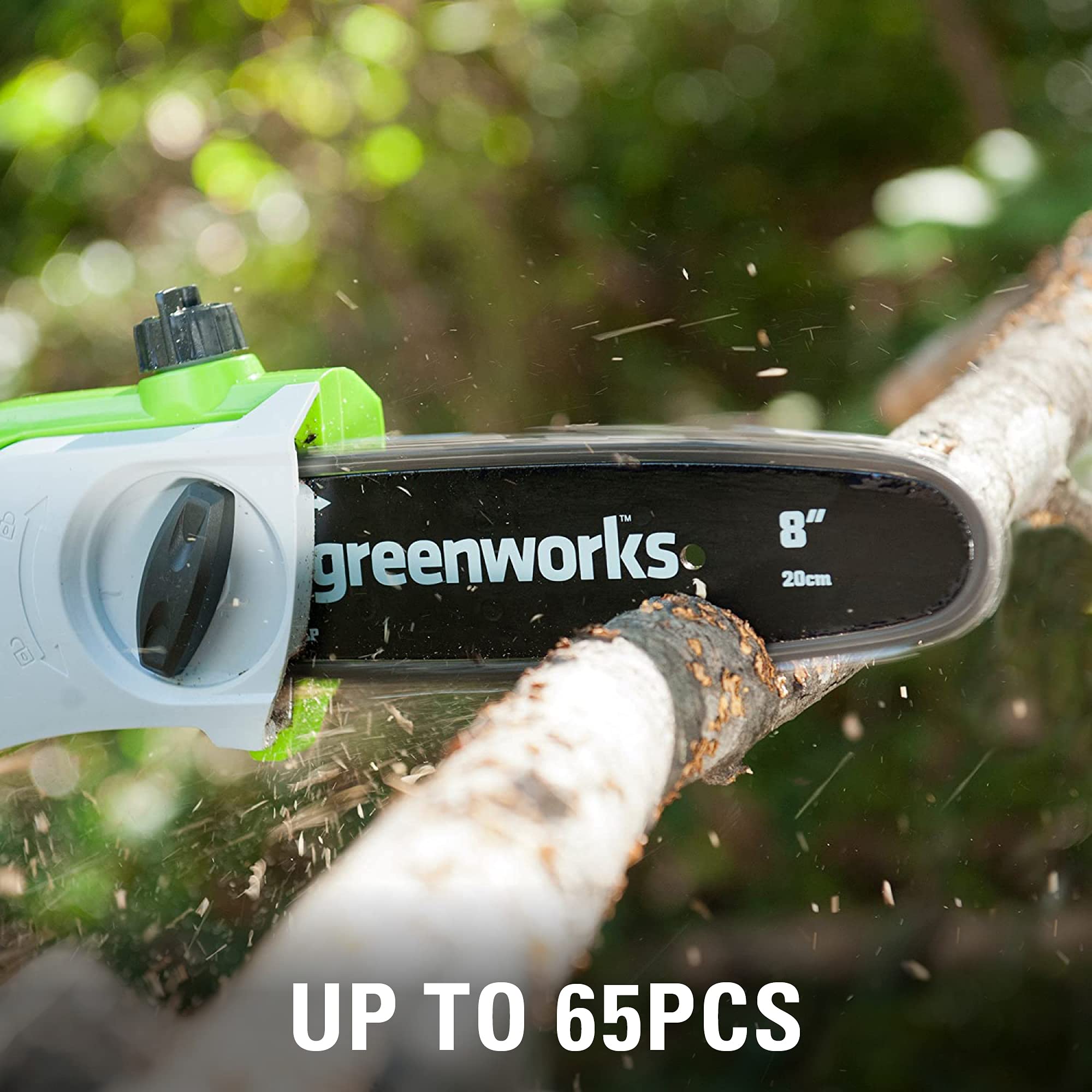 Greenworks 40V 8-Inch Cordless Pole Saw with Hedge Trimmer Attachment | 2Ah Battery & Charger Included | Model 1300402 | Perfect for Tree Trimming, Landscaping & Yard Maintenance